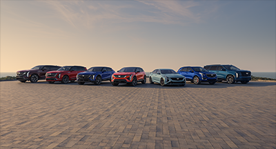 26multi model mobile